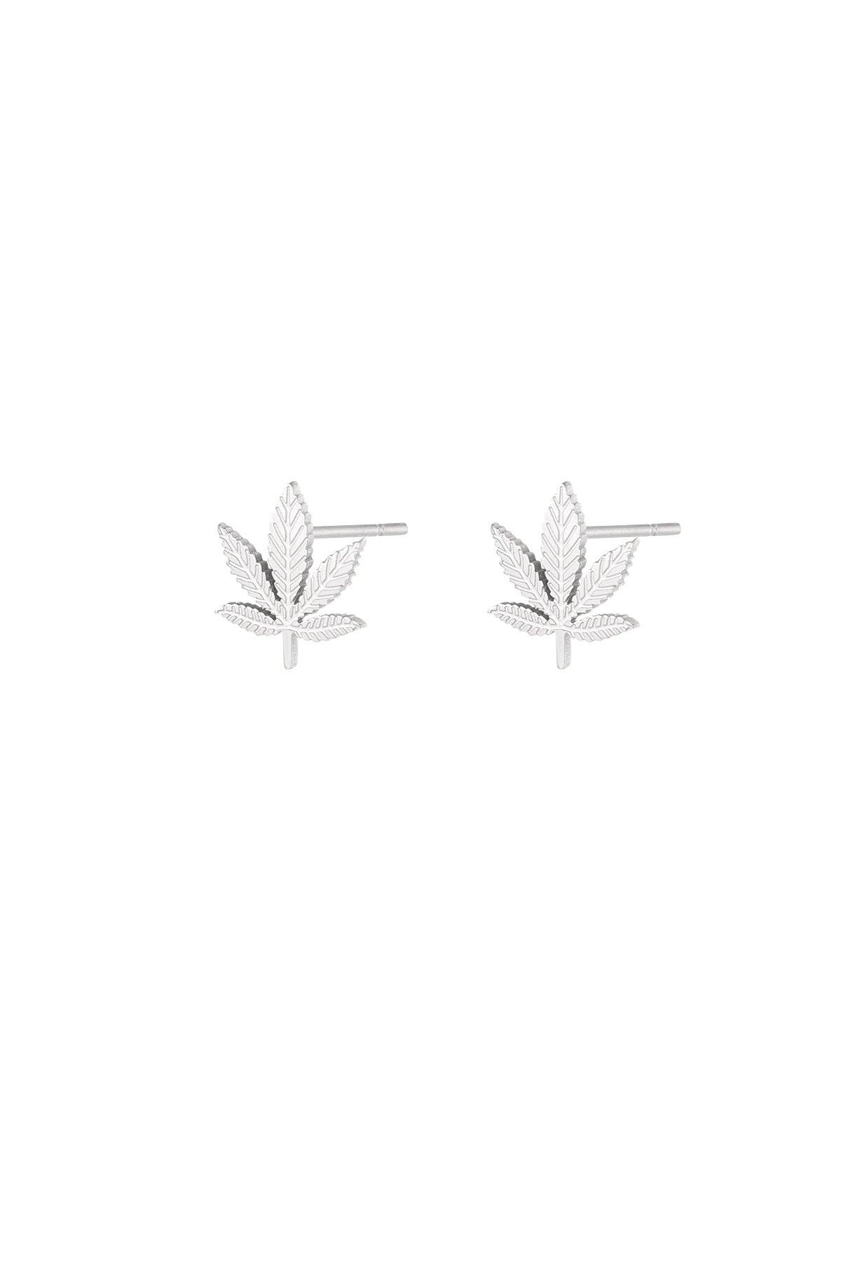 canna bliss studs