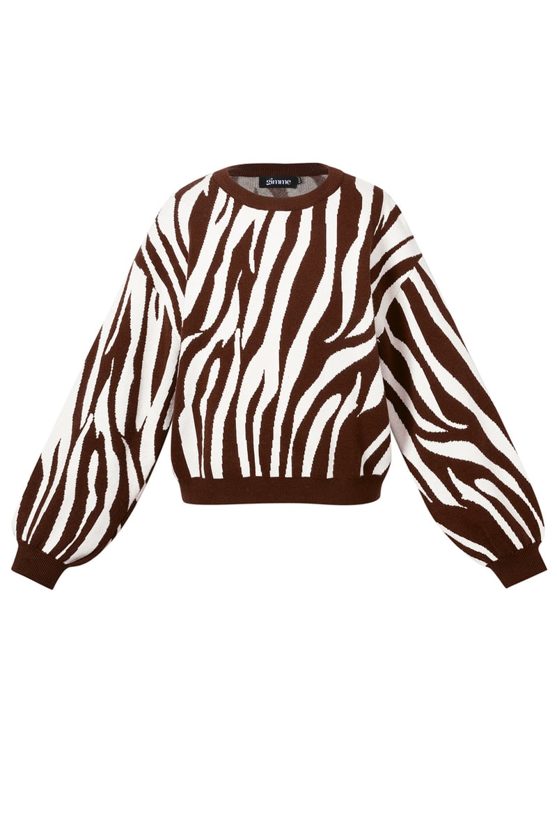 Knitted Zebra Stripes Sweater