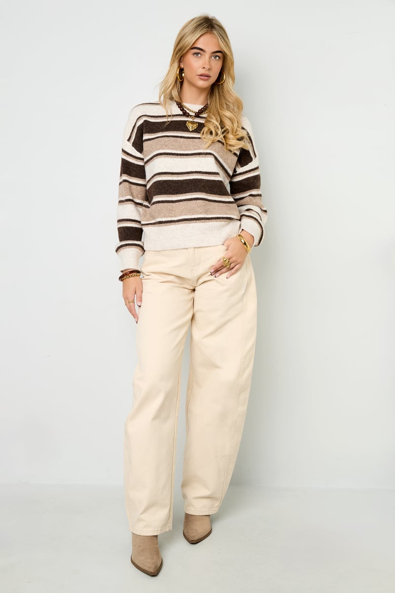 Polyester Casual Stripes Knit Sweater