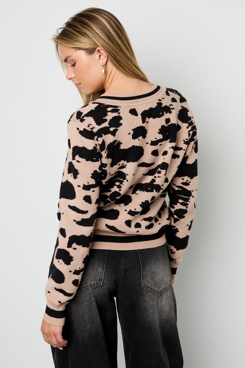 Leopard Print Sweater