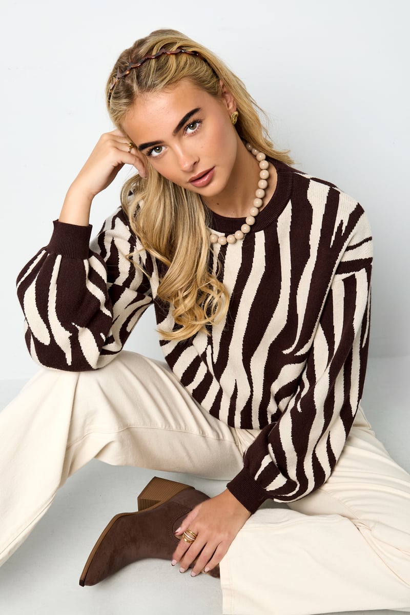 Knitted Zebra Stripes Sweater