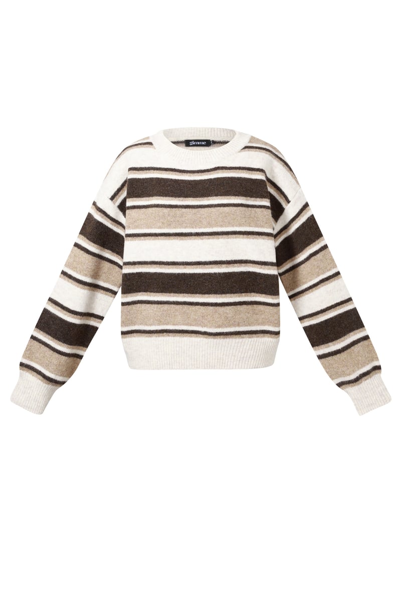 Polyester Casual Stripes Knit Sweater