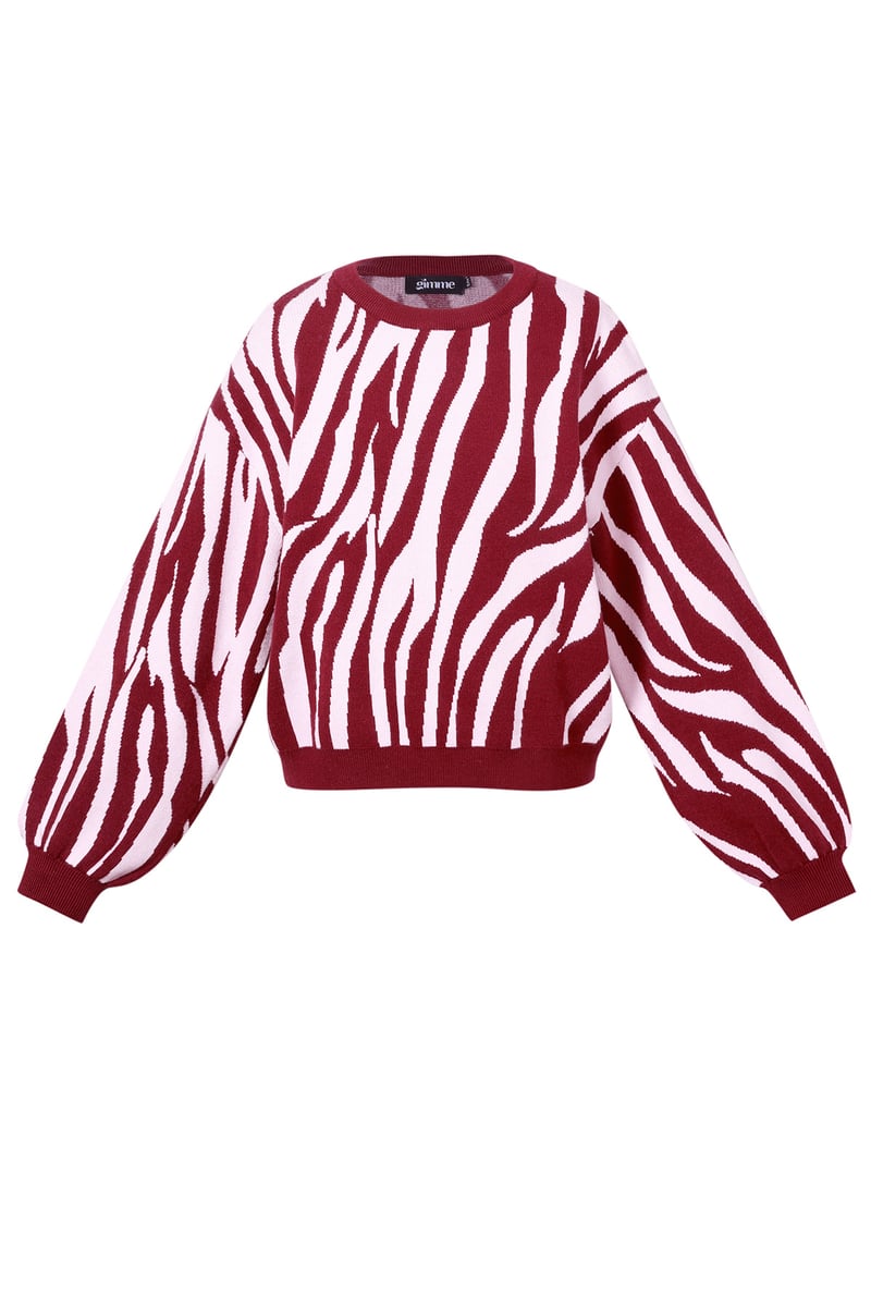 Knitted Zebra Stripes Sweater