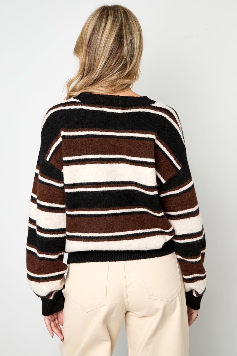 Polyester Casual Stripes Knit Sweater