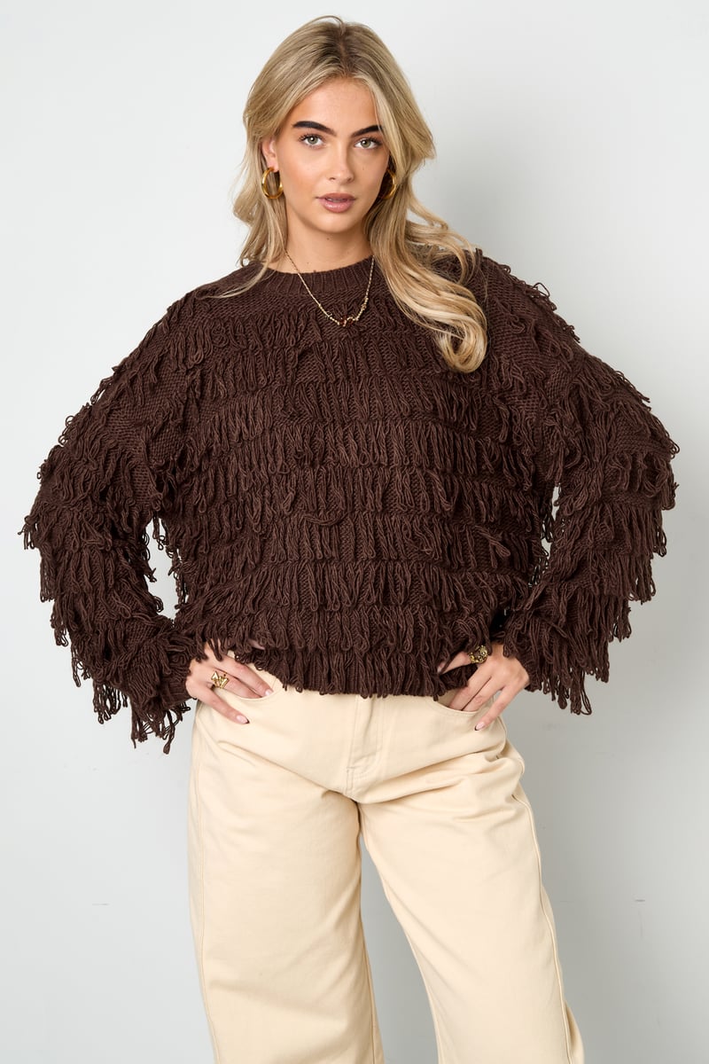 Fringe Knit Sweater