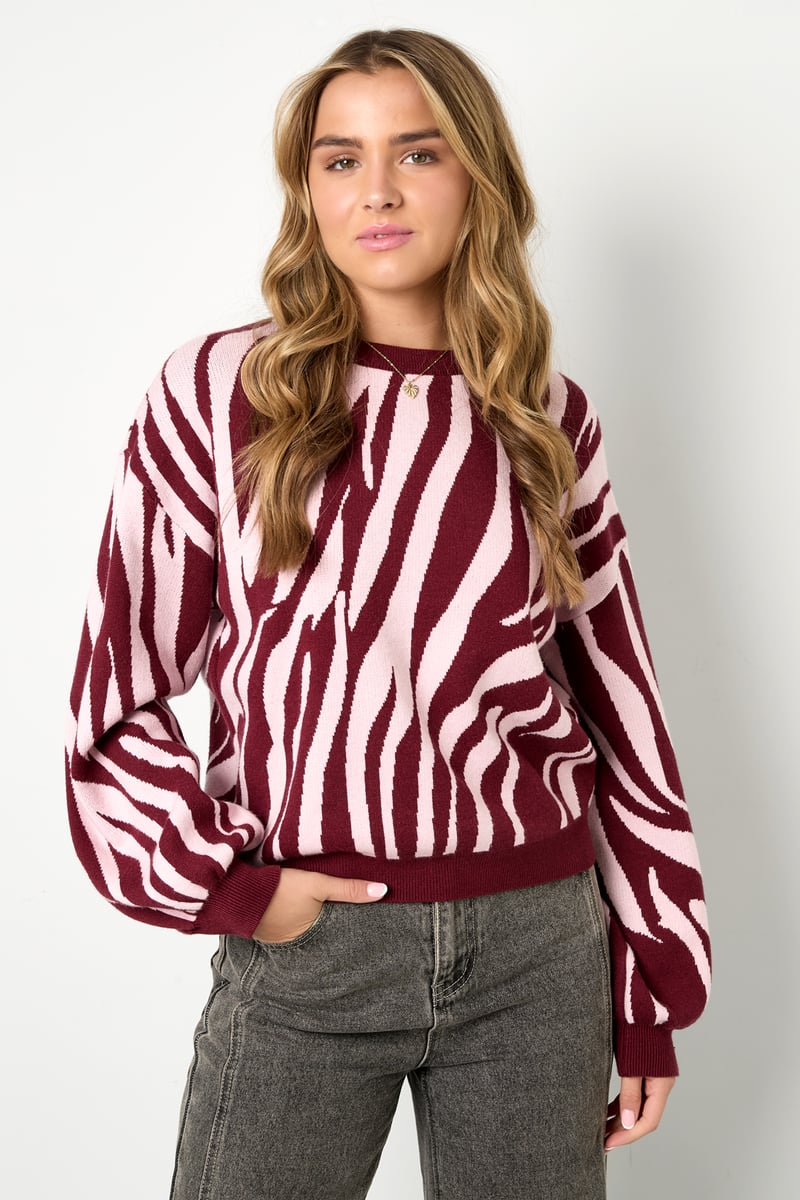Knitted Zebra Stripes Sweater