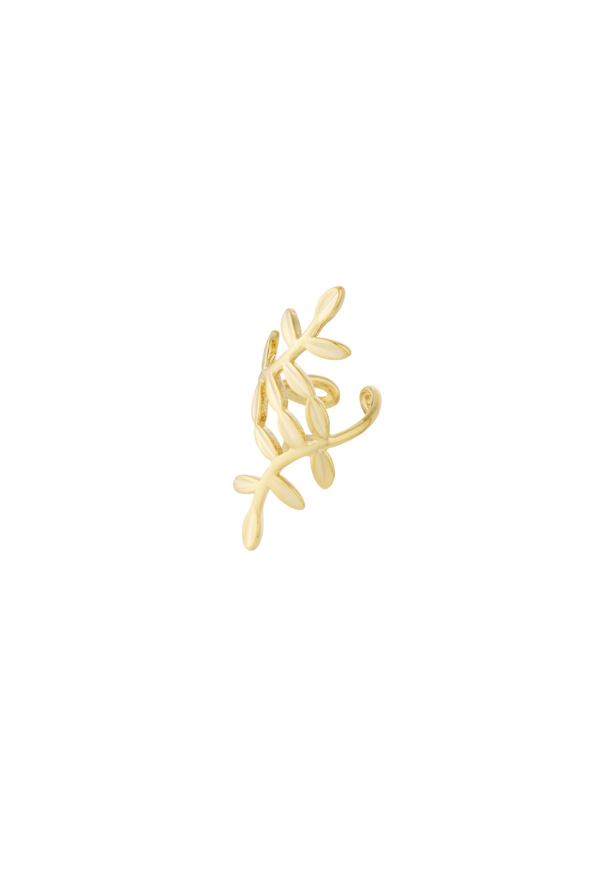 Ear cuff plant